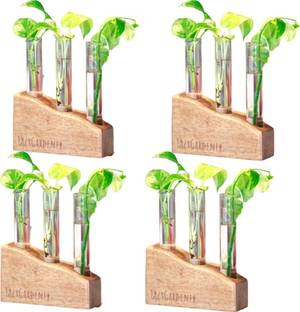 lazy gardener Propagation Station - Premium Mango Wood Plant Container Set