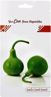 VibeX Bottle Gourd Seed