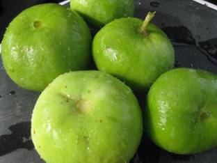 VibeX Apple Gourd Seed