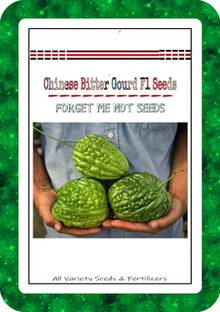 VibeX Bitter Gourd Seed