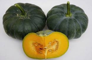 VibeX Pumpkin Seed
