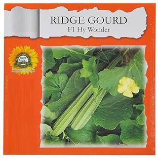 VibeX Ridge-Sponge-Gourd Seed