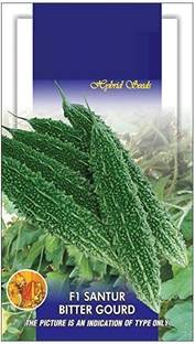 VibeX Bitter Gourd Seed