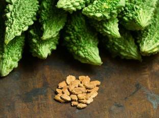 VibeX Bitter Gourd Seed