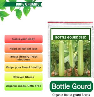 VibeX Bottle Gourd Seed