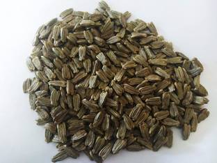 VibeX Bottle Gourd Seed