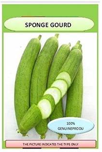 VibeX Ridge-Sponge-Gourd Seed