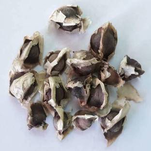 VibeX Moringa Seed