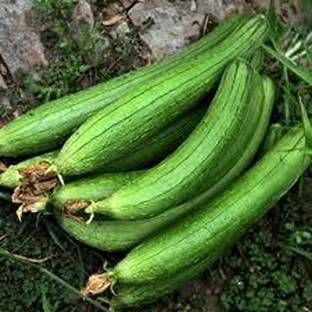 VibeX Ridge-Sponge-Gourd Seed