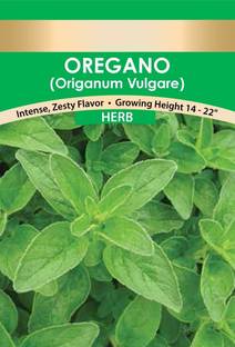 VibeX Oregano Seed