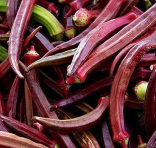 VibeX Red Okra, Ladies Finger, Bhindi Seed