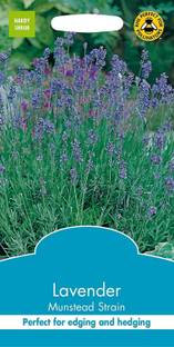 VibeX Lavender Seed