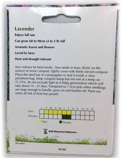 VibeX Lavender Seed