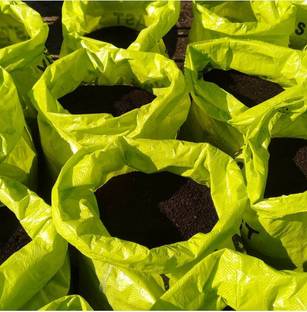 SN SMART GARDEING Organics Vermicompost Manure (5 kg, Granules) Potting Mixture, Soil