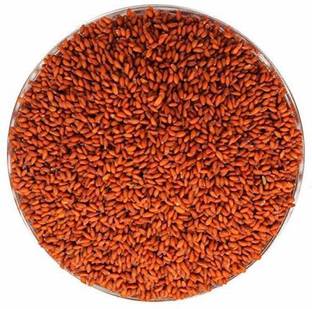 Gopure Garden CRESS HALIM Seed (ASALIYA), 900g Garden Cress Seeds