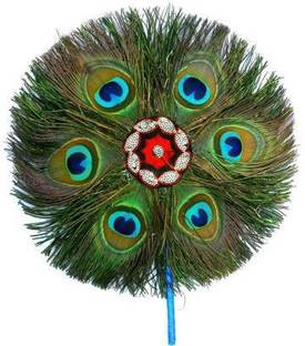 Red Crush Pack of 2 Decorative Feathers