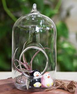 MAGICMOON Crystal Glass Hanging Planter Capsule Shape Terrarium , Indoor Gardening , Hanging Glass Capsule Set ( Set of 1 ) ( 1 Piece 7" Capsule ) Plant Container Set