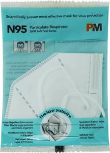 PM N95 Mask