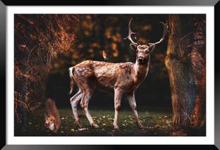 Bhawana Creation DEER BEAUTIFUL HD FRAME Digital Reprint 8 inch x 10 inch Painting