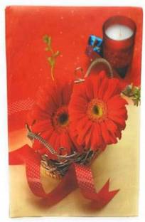 aAdinath Multicolor 300 Pocket 4 x 6 inch Slip-IN Photo Album