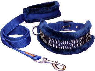 Petshop7 Dog Collar & Leash