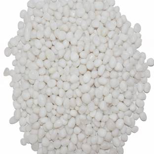 Colour Stone Small Polished Stone Pebbles For Plant Pots Vase Home Garden Decor (White, 500g) Polished, Regular Round, Oval Marble Pebbles