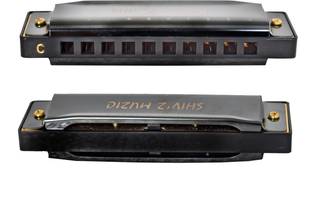 Shiv'z Muzic Harmonica, 10 Holes Mouth Organ, Premium Quality (with carry Case & Manual )