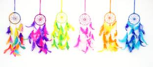 FASTDAP Feather Dream Catcher