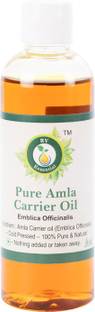 R V Essential Pure Amla Oil 100ml- Emblica Officinalis (100% Pure and Natural Rare Herb Series)