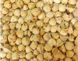 Panir paneer phol, paneer dodi, paneer doda Seed