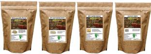 WILD FOREST DRY ( ASHWAGANDHA , SHATAVARI , SAFED MUSLI , KAUNCH BEEJ ) 50 GM EACH