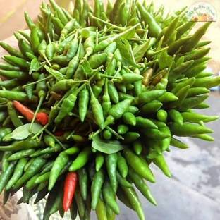 Sjeme Kanthari Chilli Seed Seed