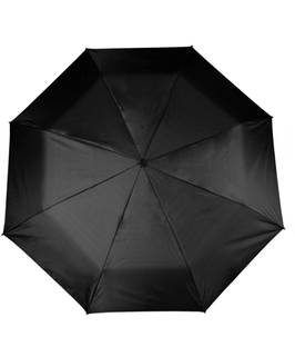 Flipkart SmartBuy 3 fold Auto Open Nylon Umbrella