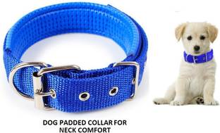 Hachiko Dog Everyday Collar
