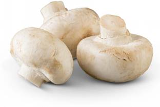 Paudha Mushroom Seed
