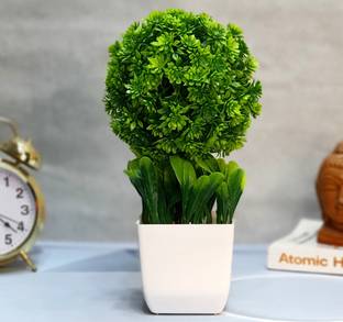 Flipkart SmartBuy Great For Home Or Office Decoration or birthday Gift, Table Top Bonsai Artificial Plant Bonsai Wild Artificial Plant  with Pot