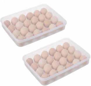 ACLIX Plastic Egg Container  - 2 dozen