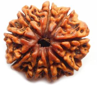 Ratehalf Original Nau Mukhi 9 face (Nine Faced) Natural Rudraksha Bead Beads Wood