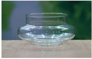 Green Plant indoor Vase1127 Glass Vase