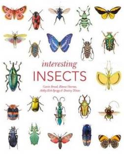 Interesting Insects