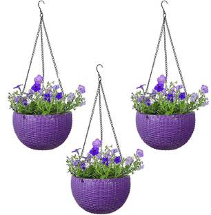 HNB Plant Container Set