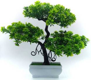 revcart Green Wild Flower Artificial Flower  with Pot