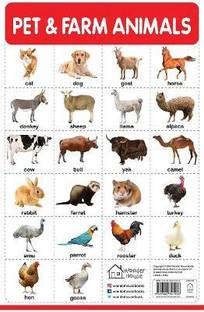 Pet and Farm Animals