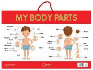 My Body Parts  - By Miss & Chief
