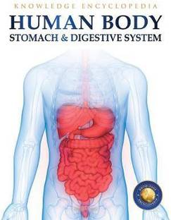 Human Body - Stomach And Digestive System: Knowledge Encyclopedia For Children  - By Miss & Chief
