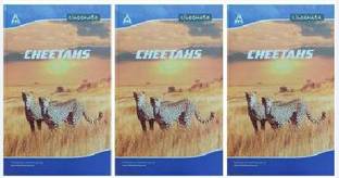 Classmate Regular Regular Notebook Unruled 400 Pages