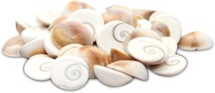 SATYAM Gomti Chakra Natural Energized for Health, Wealth, Success, Puja and Decoration - White - Set of 21 Crystal Yantra