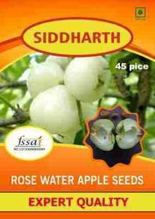 SIDDHARTH FISH FARM Green rose water apple seeds Seed