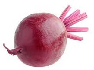LYRS Ruby Red Beetroot Seed Seed