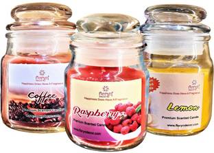 Floryn decor Scented Cookie Jar Candle | Pack of 3 | Scented Jar Candle (Lemon | Coffee | Raspberry) Candle